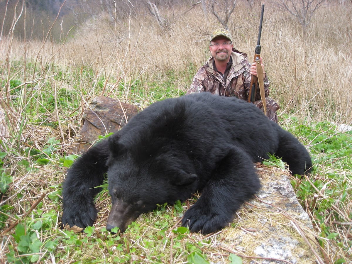 What a classic coastal bruin! Caught him feeding on a slide chute above the ocean!