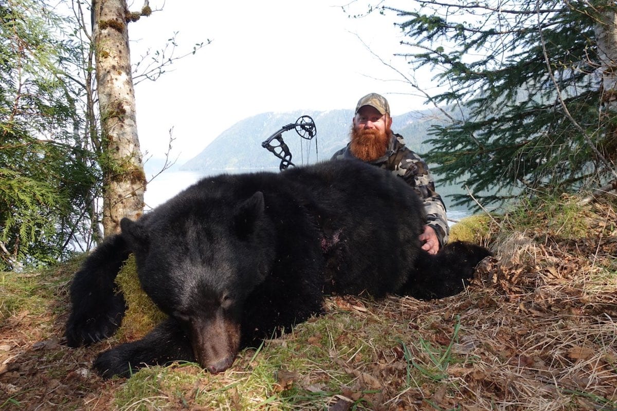 BC Canada Black Bear Hunting Beautiful archery bear taken on the first boat hunt of 2018
