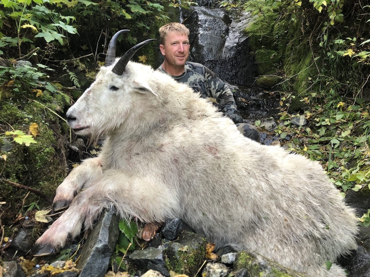 Mountain Goat Hunted in BC This september goat was a hell of a chellenge. Mentally and physically. Jack and guide Brad got it done. I encourage you to ask Jack what his guide put into this hunt.