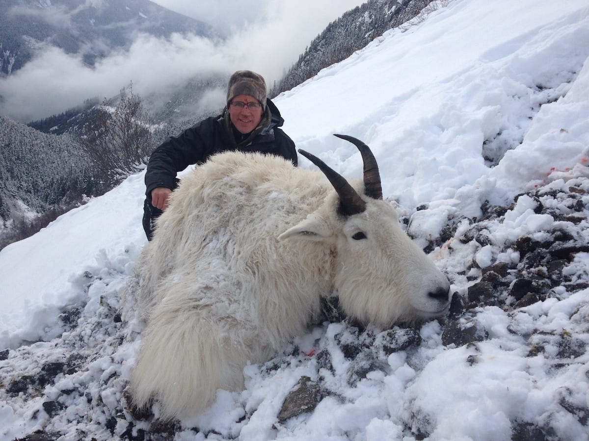 Mountain Goat Hunted in BC November rifle billy.