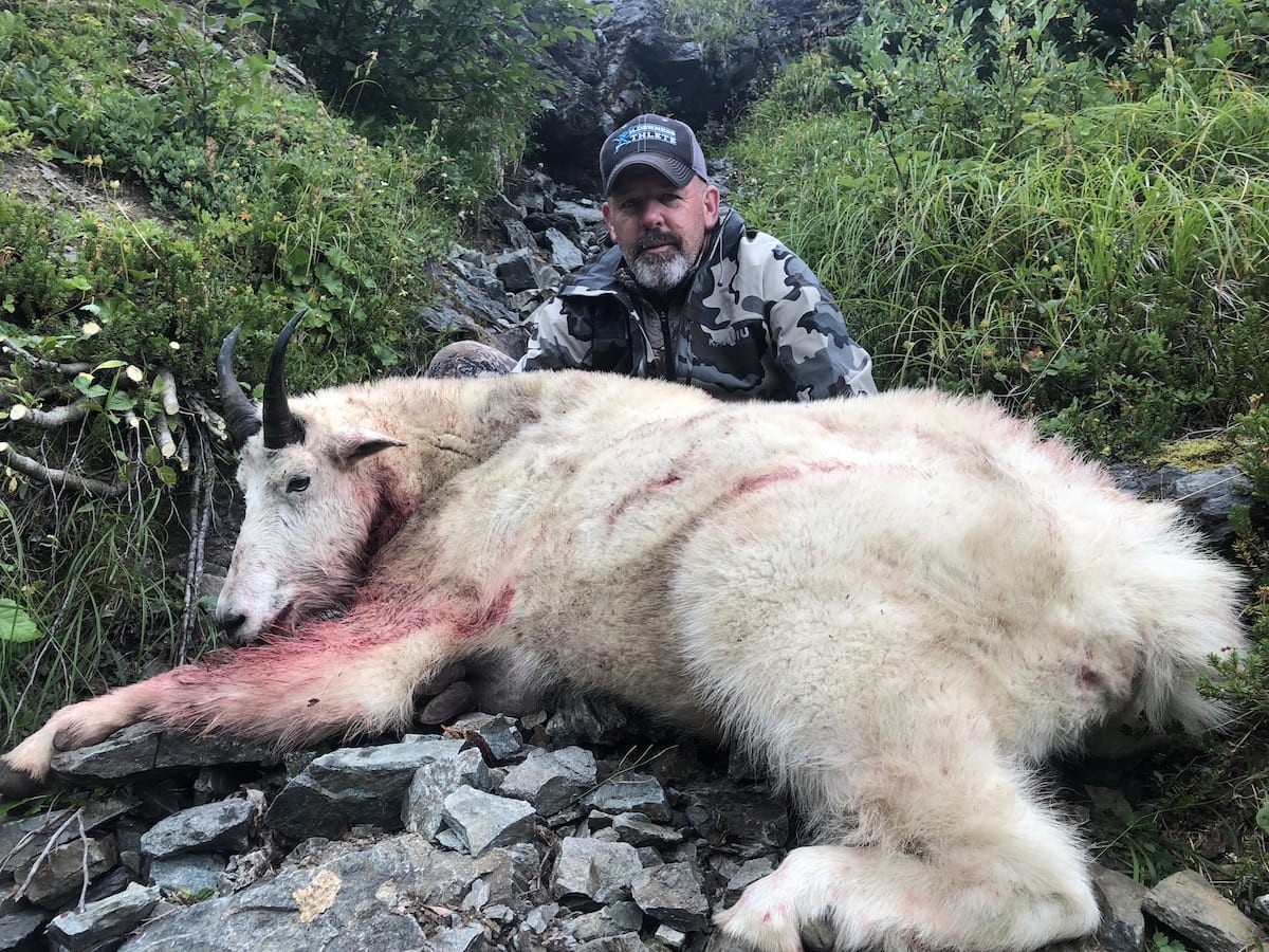 Mountain Goat Hunted in Northern BC Shawn took this billy in late Aug. he was in a tough spot. This guy gets it done!