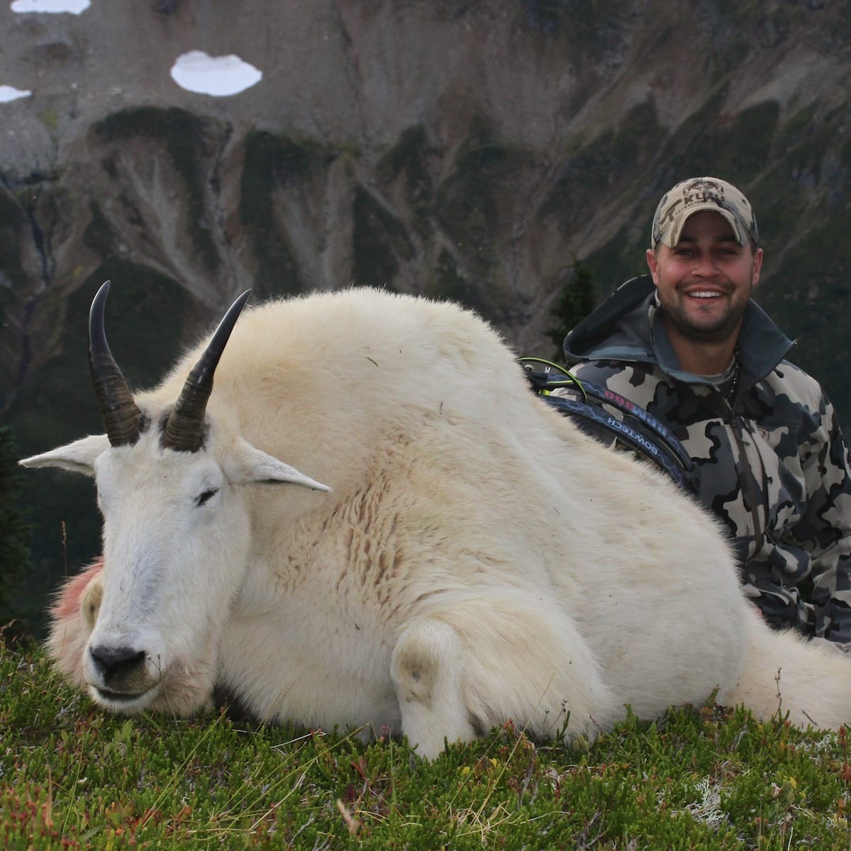 Mountain Goat Hunted in Northern BC What an awesome archery goat. Look at the bases on that thing!