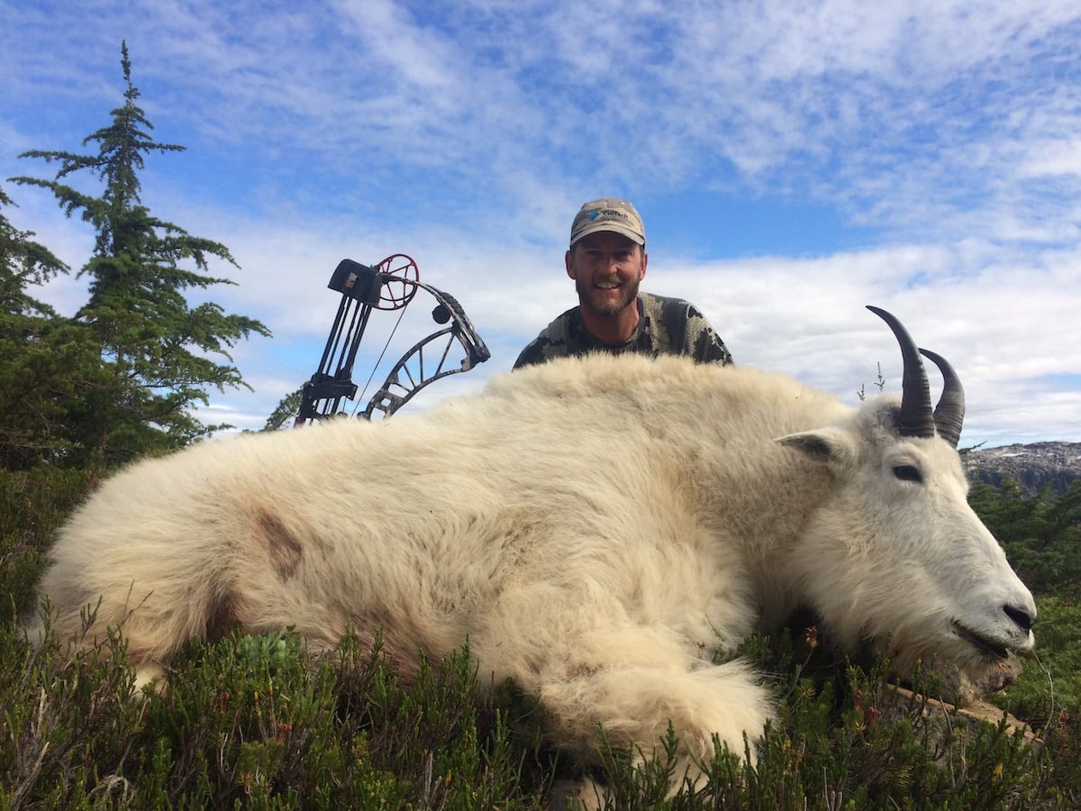 Mountain Goat Hunted in Northern BC Long haired Oct. archery billy. Will hunted with buddy Nolan. Was a brutal tough hunt with the weather but man both harvested stud billies.