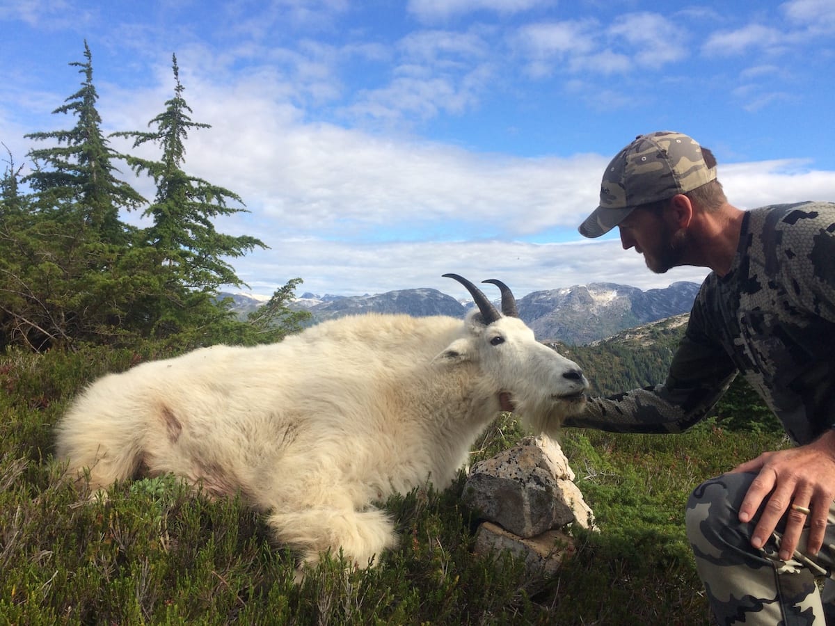 Mountain Goat Hunting in Northern BC Finally face to face.