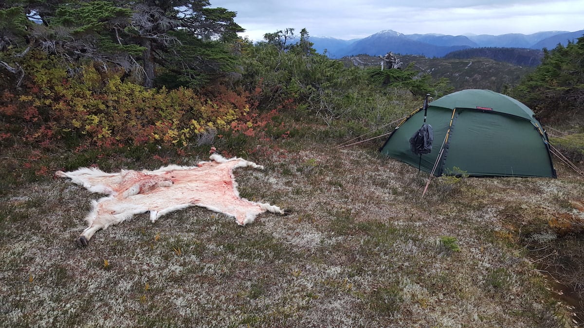 Mountain Goat Hunting in Northern BC