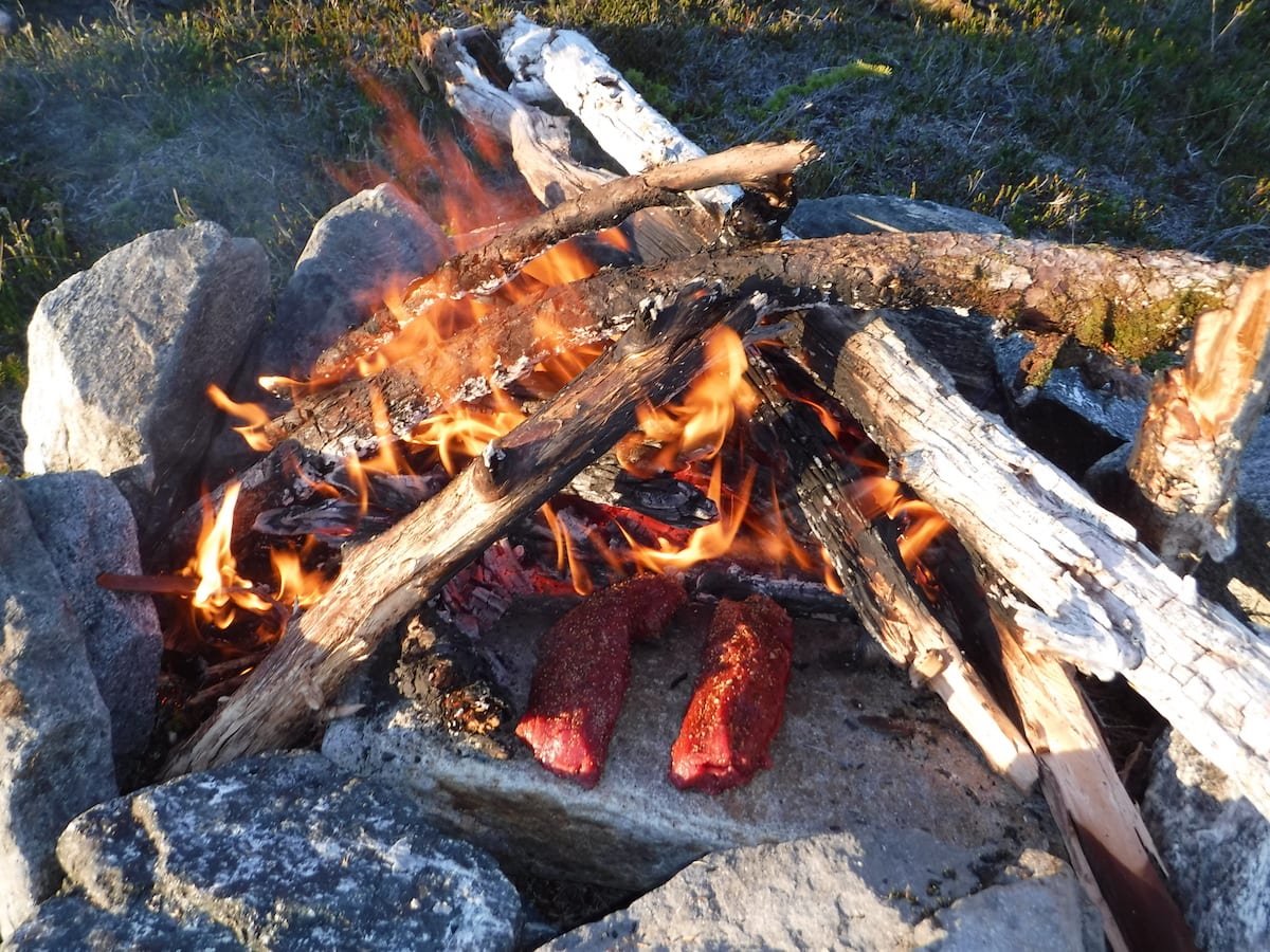 Mountain Goat Hunting in Northern BC Fires are not common in the wet Coast Mountains but this one was welcome.