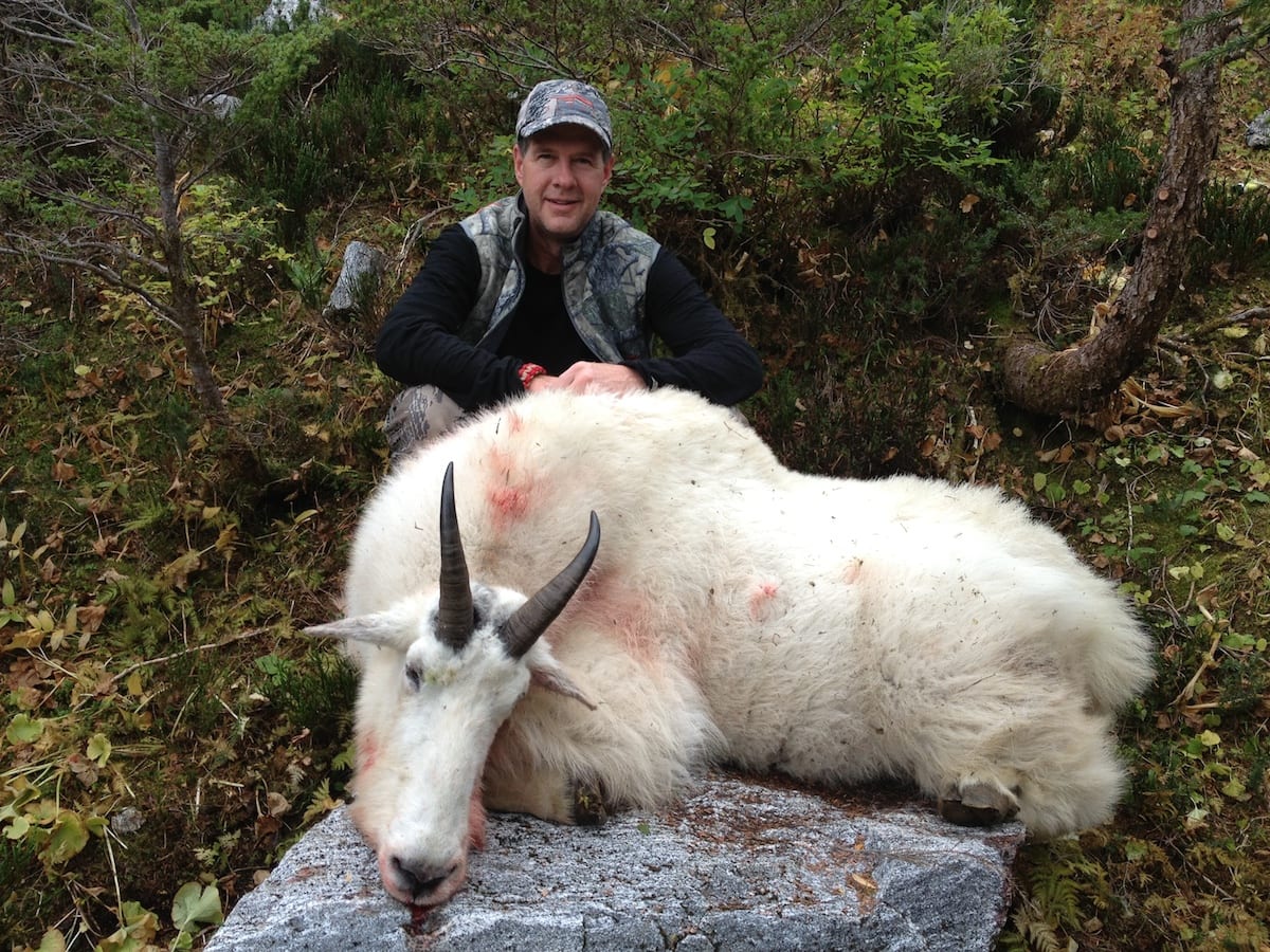 Mountain Goat Hunted in Northern BC
