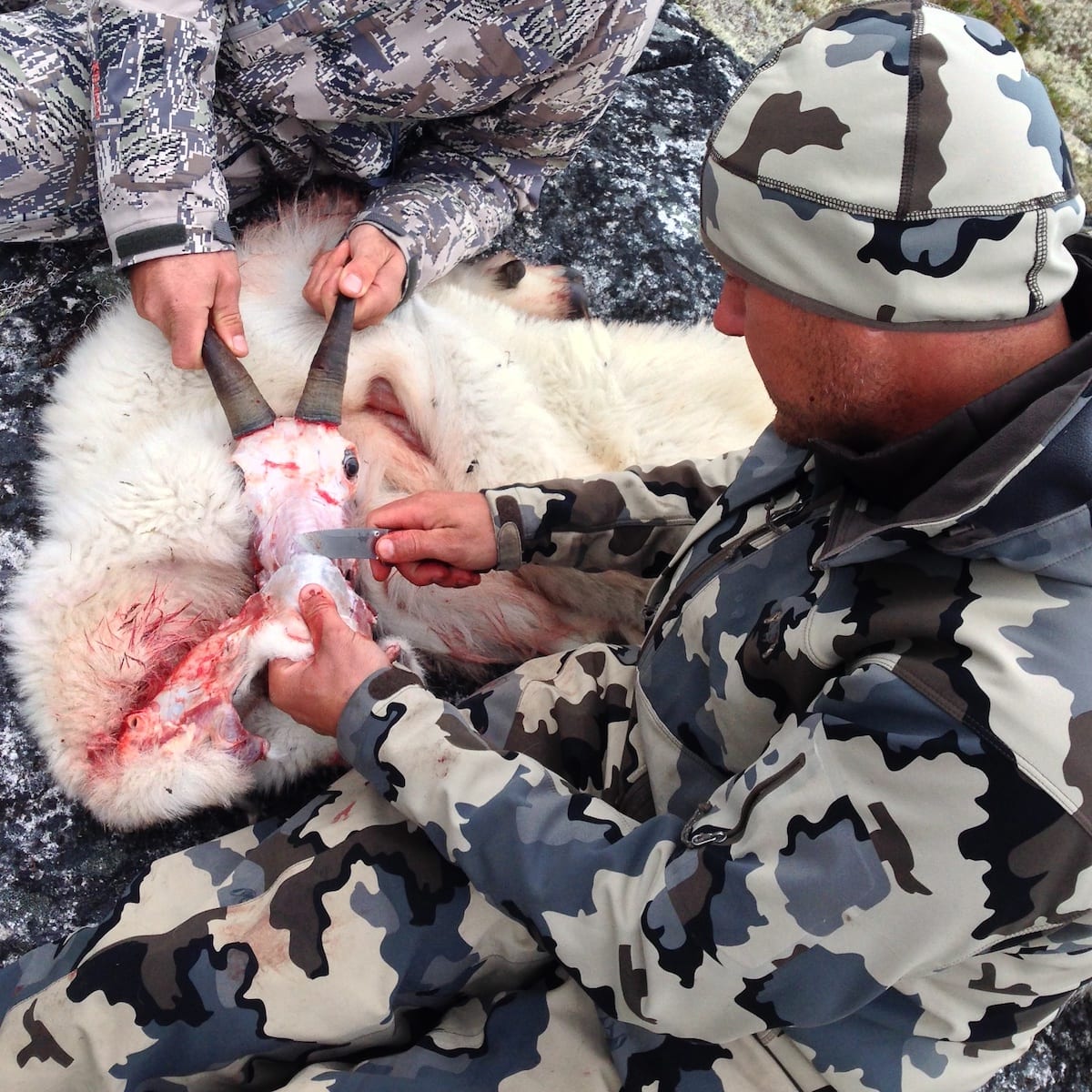 Mountain Goat Hunting in Northern BC Spike Getting things preped for the long haul out!