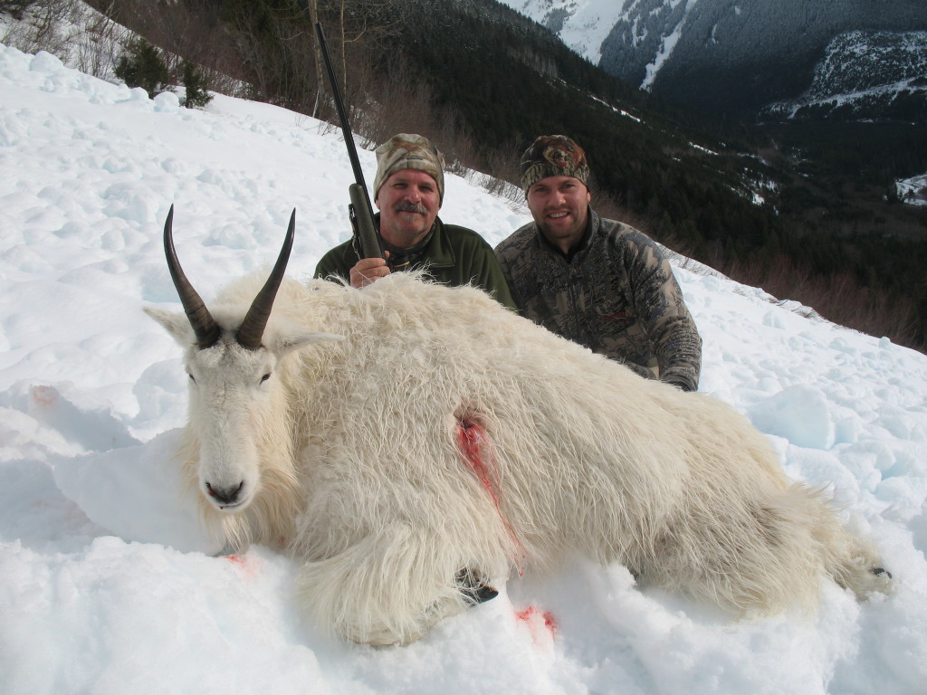 Photo of a mountain goat hunted in late season in British Columbia Canada